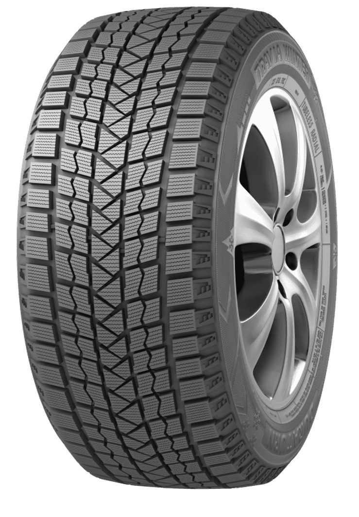 DURATURN Mozzo Winter W2 225/55 R19