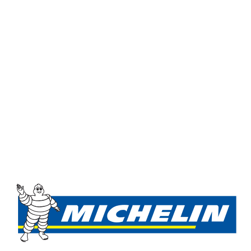 MICHELIN E Primacy 2 255/35 R19