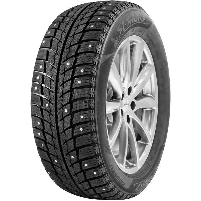 Sentury ice STAR iS33 225/45 R17