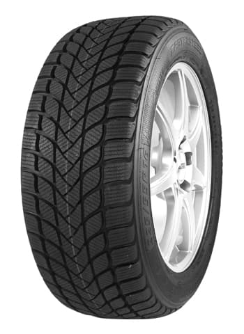 MASTER-STEEL WINTPL1 245/45 R18